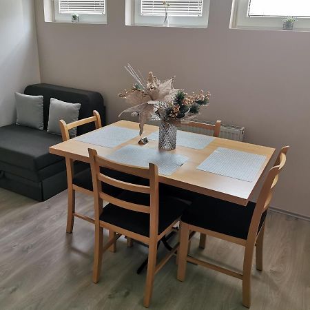 Apartmani Milica Kruševac 外观 照片
